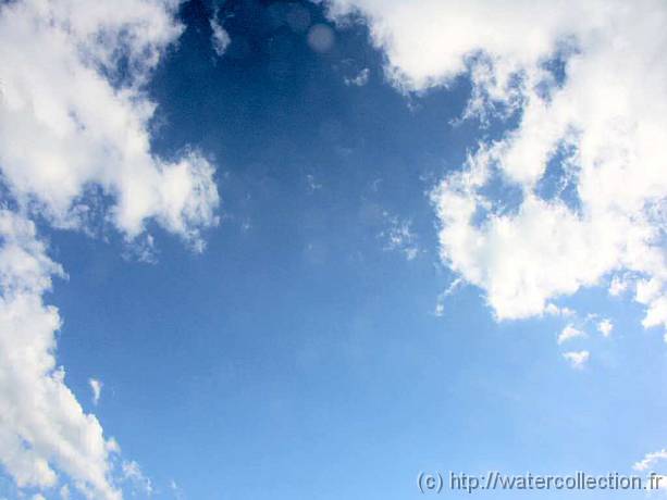 2004-08-20 18-32-35 Nature (x1024) 